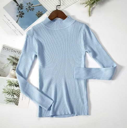 High Neck Long Sleeve Knit Top